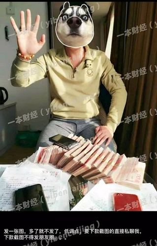 程曙澤是一個(gè)在上海周圍活動(dòng)的小中介.