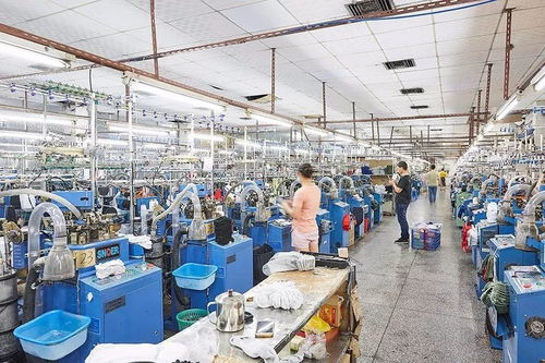 襪子的誕生 揭開泰昂運(yùn)動襪生產(chǎn)的神秘面紗